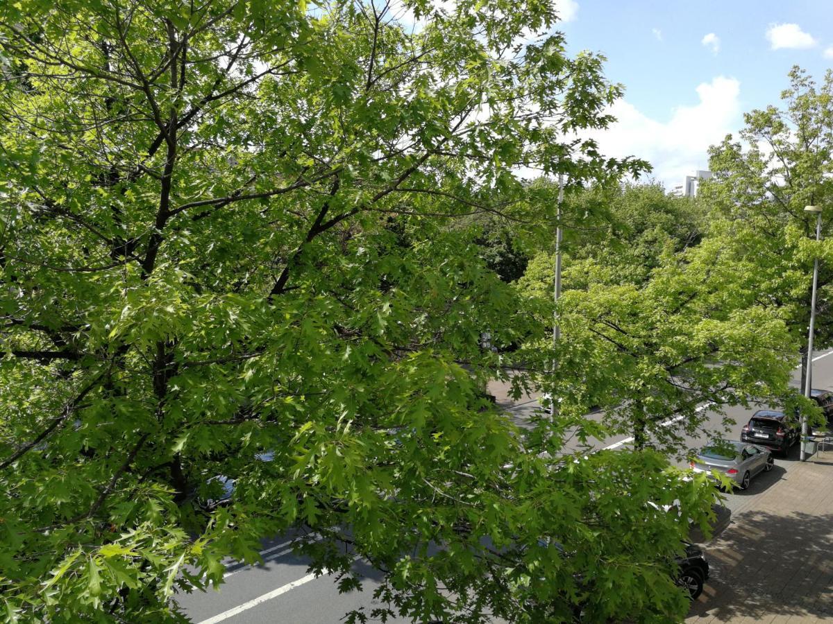 2-Zimmer Apartment Sofia, Gemuetlich Wie Zu Hause Offenbach am Main Eksteriør billede